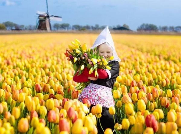 Tulipánok országa, Hollandia