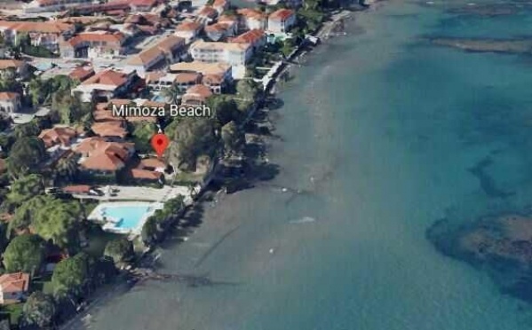 Mimosa Beach 2024 ***