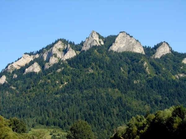 Zakopane és a Tátra-Krókusz virágzás