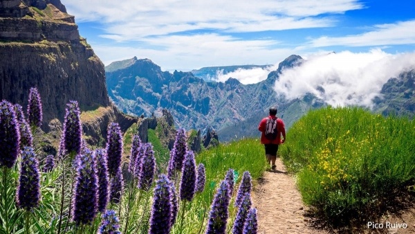 Madeira Csodái